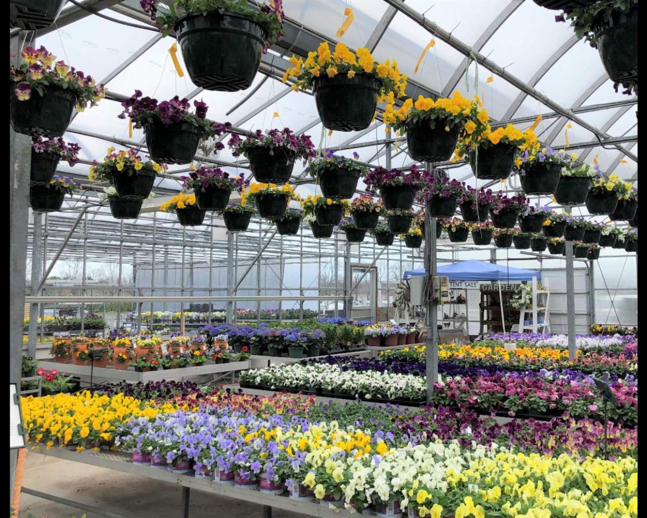 April Plant Spotlight 2022