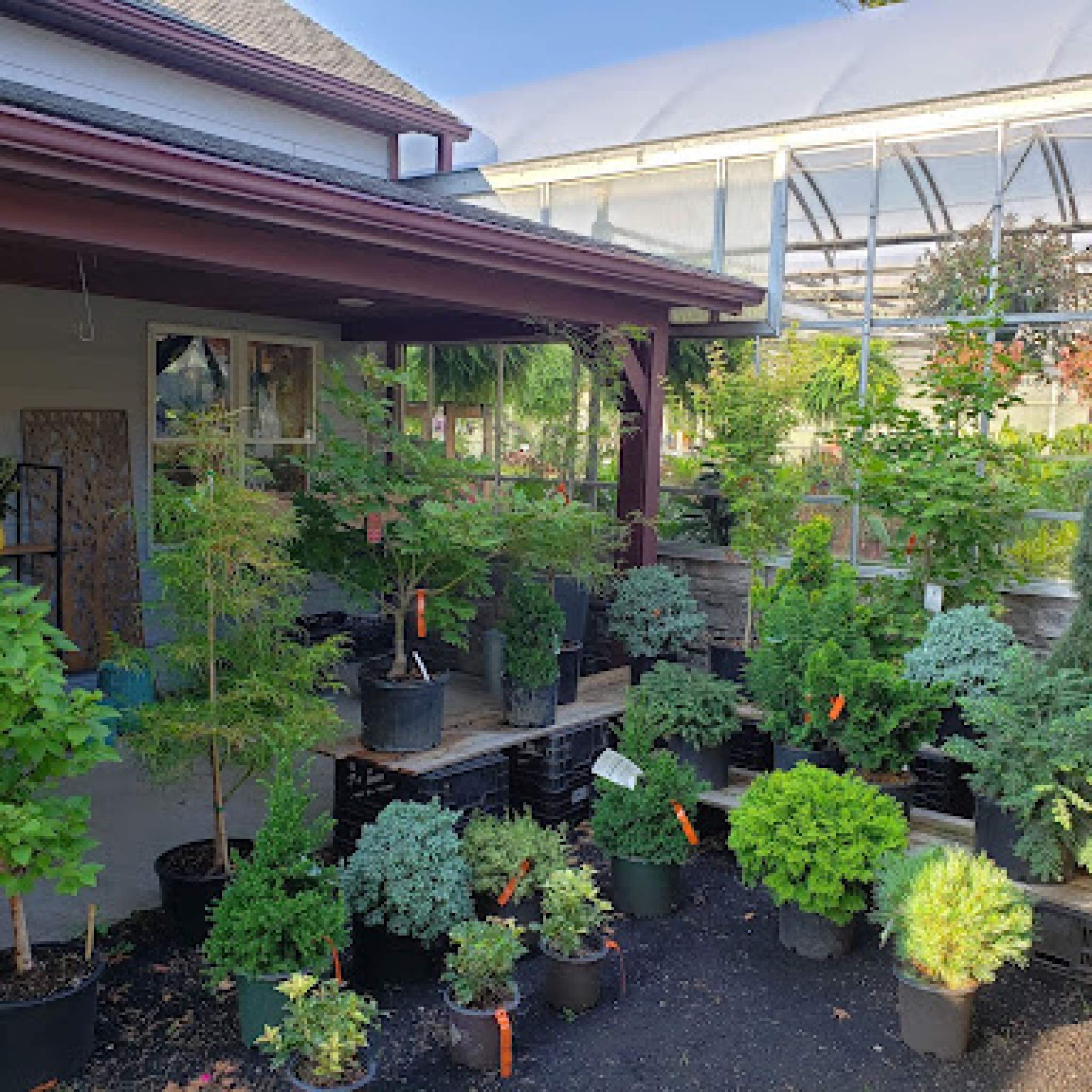Plants Lockwood's Greenhouses & Farm Hamburg, NY