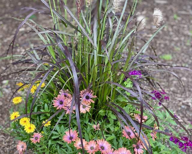 Fall Patio Planter