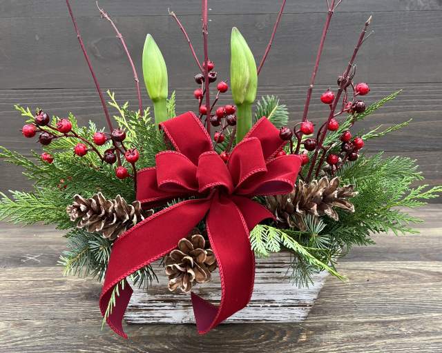 Amaryllis Arrangement Workshop