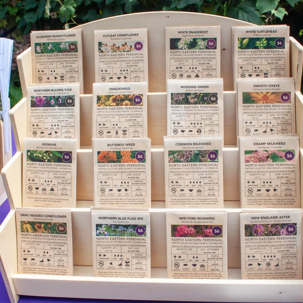 Choose Violets - Native Seeds 