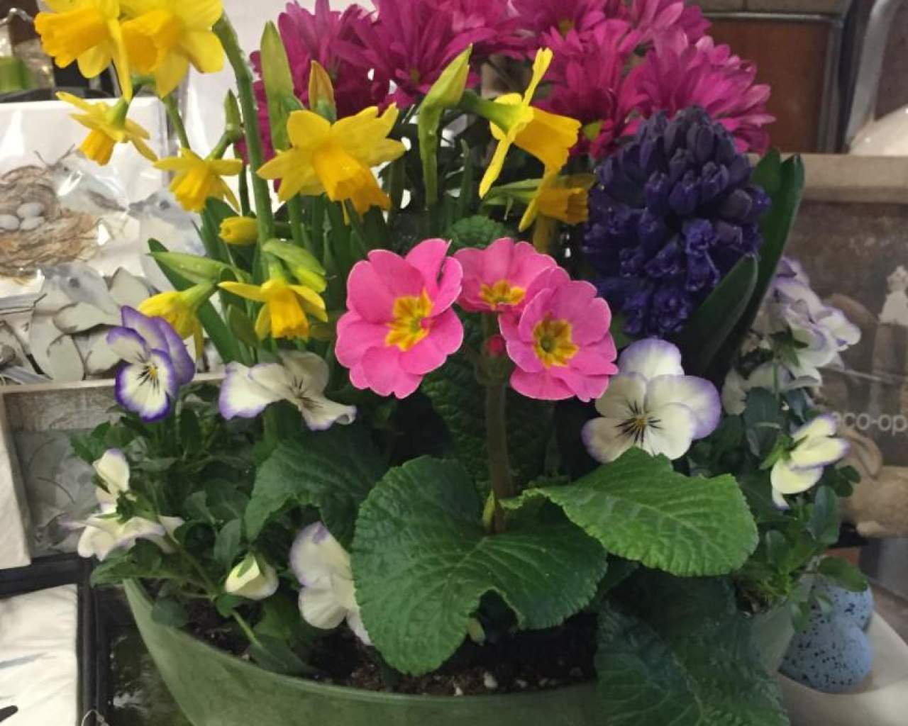 News Lockwood's Greenhouses & Farm Hamburg, NY