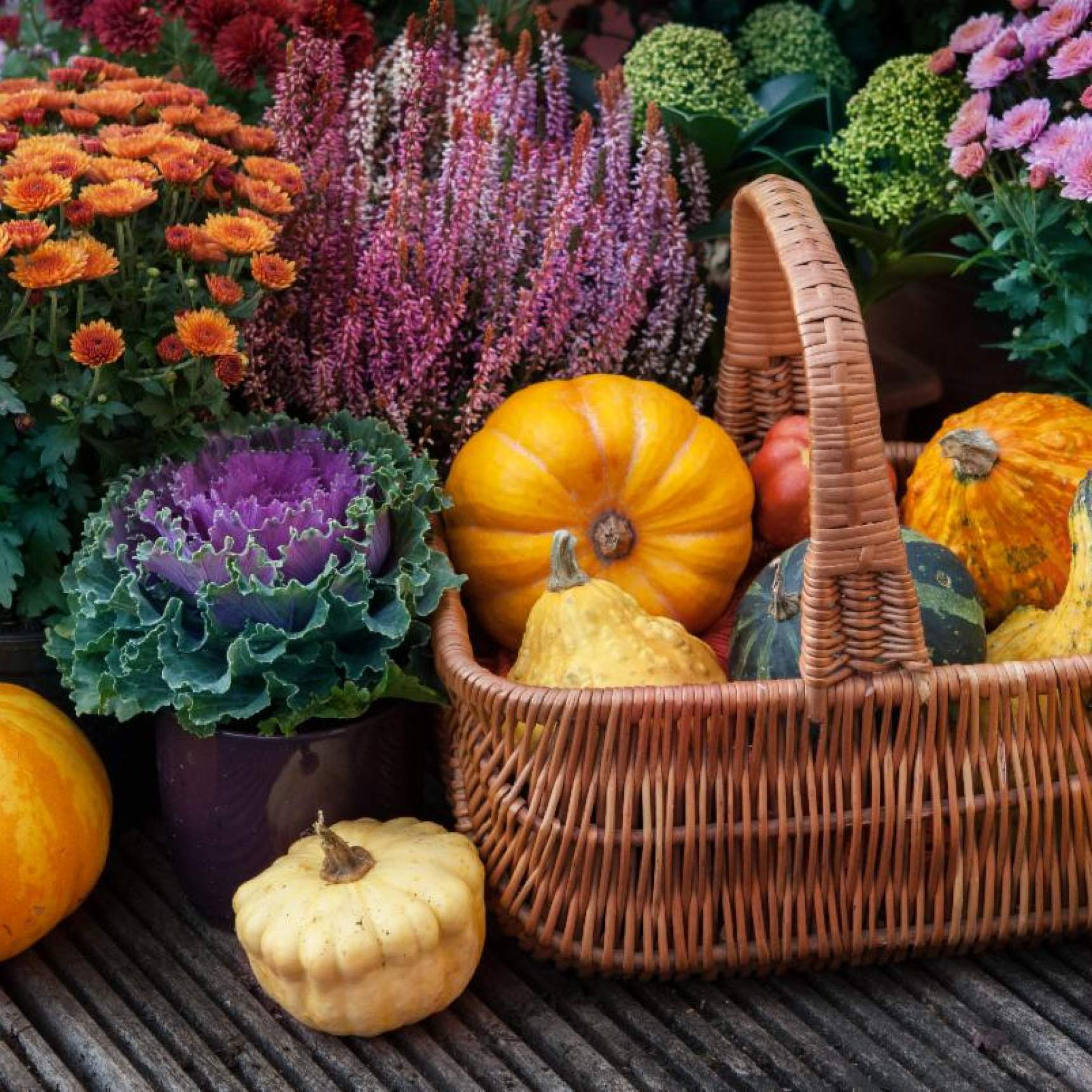 Lockwood's Greenhouses & Farm Hamburg, NY