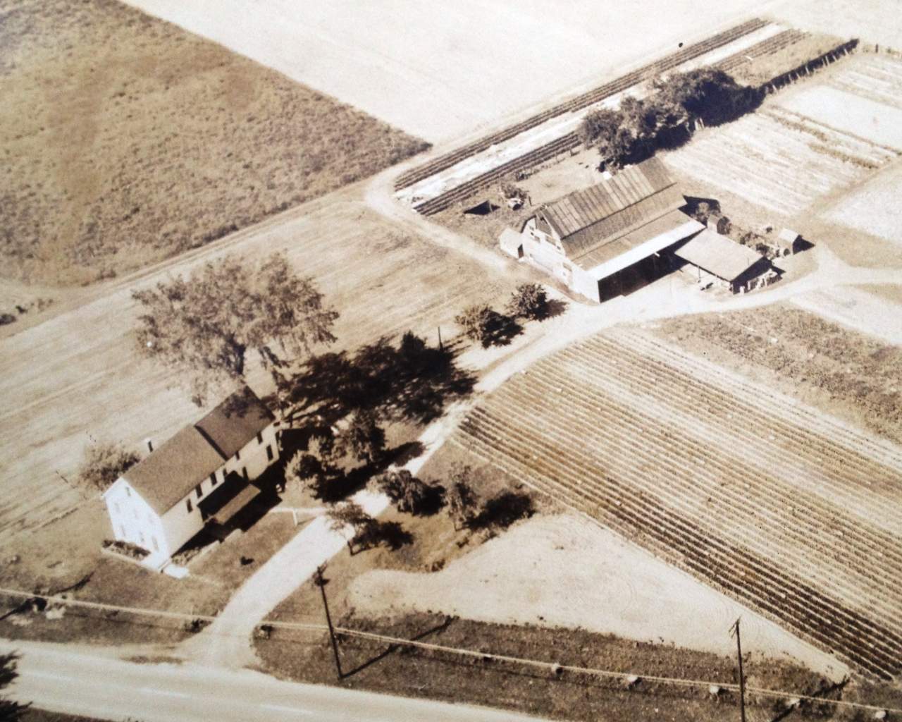 History Lockwood's Greenhouses & Farm Hamburg, NY