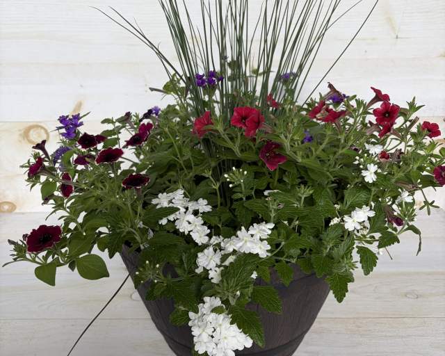 Fall Patio Planter