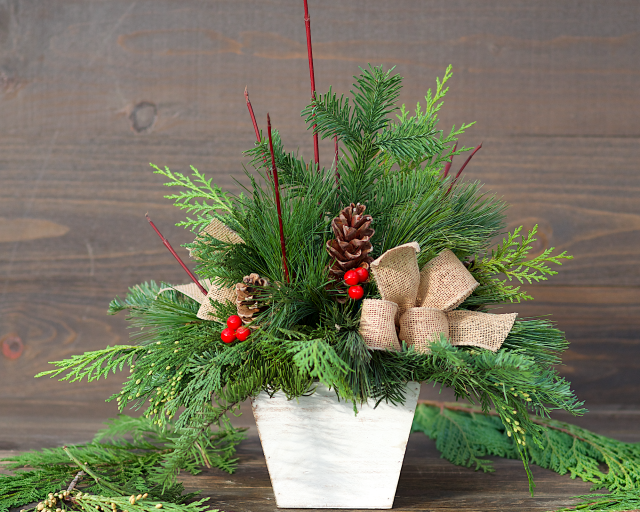 Small Evergreen Centerpiece Workshop