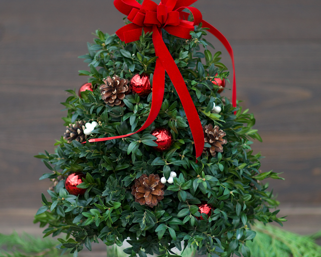 Decorated Boxwood Tree Workshop